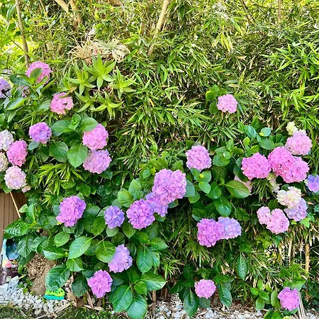 La Casa Azul * Santander
