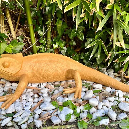 Apartmán La Casa Azul