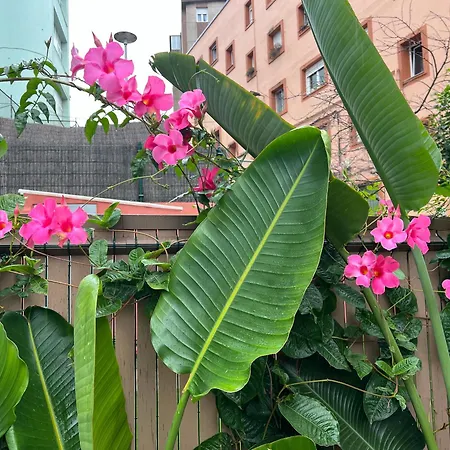 La Casa Azul Apartment