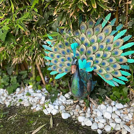 Apartment La Casa Azul