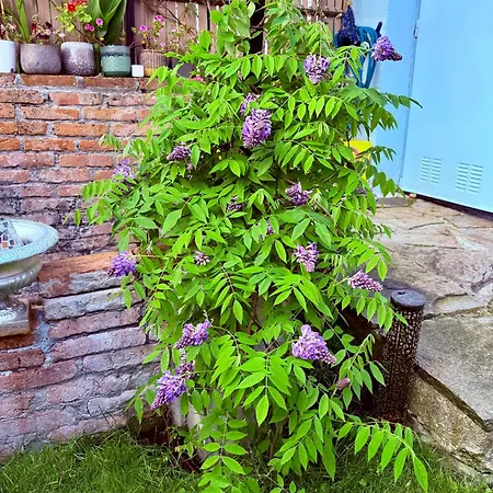 La Casa Azul Apartmán
