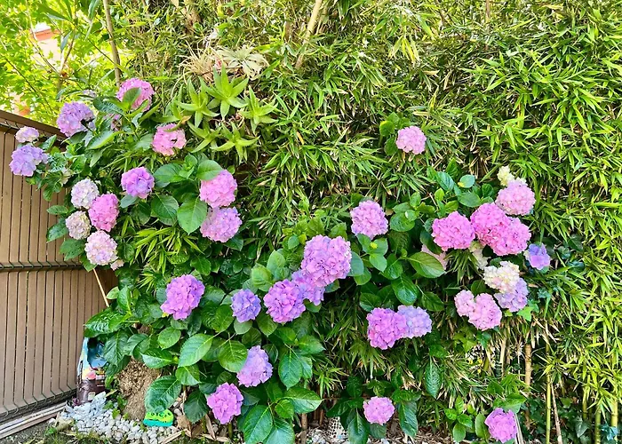 La Casa Azul * Santander