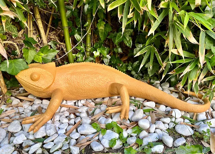 아파트 La Casa Azul