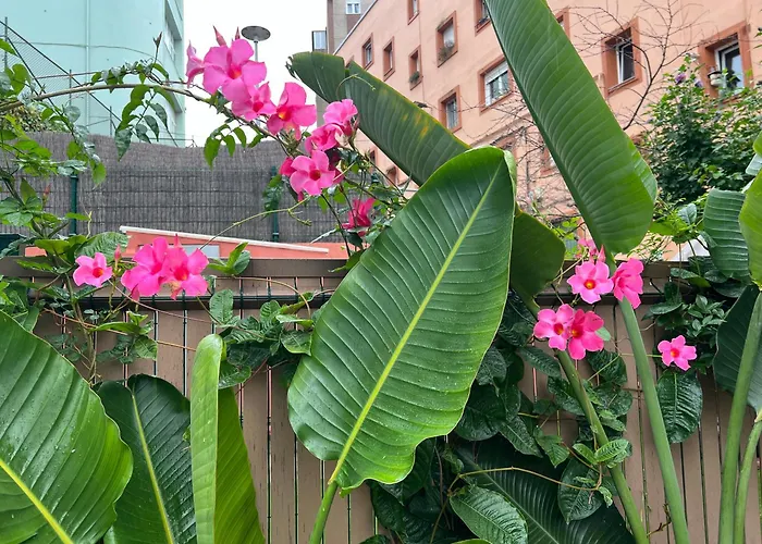 La Casa Azul 아파트