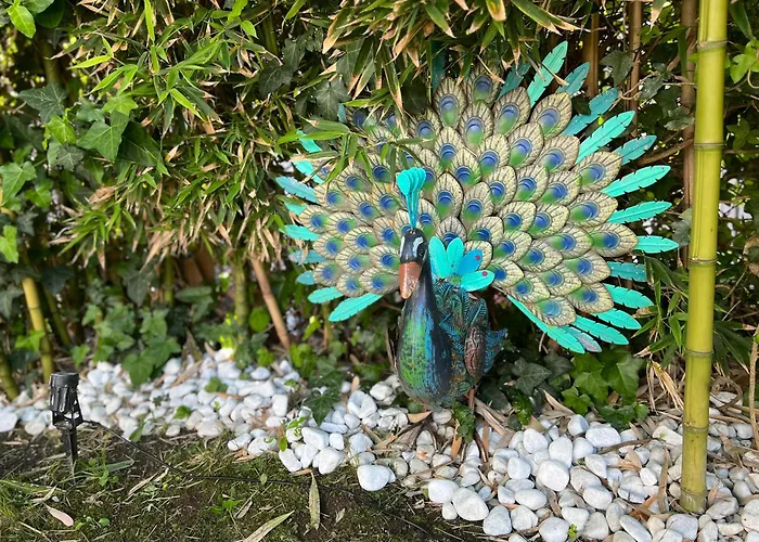 아파트 La Casa Azul