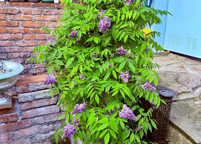 La Casa Azul 아파트